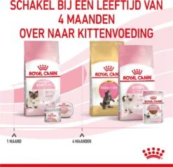 Royal Canin Mother & Babycat - Kattenvoer - 4 Kg -Winkel Voor Kattenbenodigdheden 1200x1159 31
