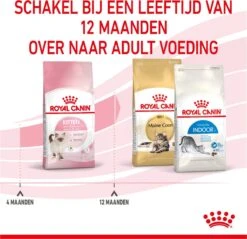 Royal Canin Kitten - Kittenvoer - 4 Kg 36 Royal Canin Kitten - Kittenvoer - 4 Kg -Winkel Voor Kattenbenodigdheden 1200x1159 6