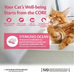 Wellness Core Kattenvoer Sterilised Zalm 4 Kg 15 Wellness Core Kattenvoer Sterilised Zalm 4 Kg -Winkel Voor Kattenbenodigdheden 1200x1160 1