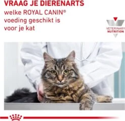 Royal Canin Gastro Intestinal - Kattenvoer - 4 Kg -Winkel Voor Kattenbenodigdheden 1200x1160 3