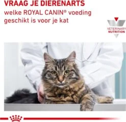 Royal Canin Hypoallergenic - Kattenvoer - 2,5 Kg -Winkel Voor Kattenbenodigdheden 1200x1160 6