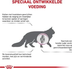 Royal Canin Mobility - Kattenvoer - 2 Kg -Winkel Voor Kattenbenodigdheden 1200x1161 7