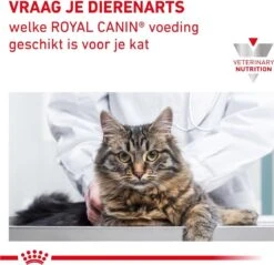 Royal Canin Mobility - Kattenvoer - 2 Kg -Winkel Voor Kattenbenodigdheden 1200x1161 8