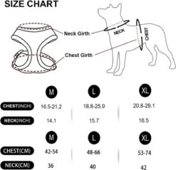 *** Katy`s Kattentuigje Zwart Maat M Met Looplijn - Kleine Hond - Kattenharnas - Honden Harnas - Kattenriem - Uitlaten - Van Heble® *** -Winkel Voor Kattenbenodigdheden 1200x1162 13