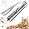 Laserpen - USB - Kattenspeeltjes - Zaklamp - Kat - Laser - Kattenspeelgoed - RVS Opbergblikje -Winkel Voor Kattenbenodigdheden 1200x1162 14