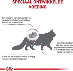Royal Canin Renal - Kattenvoer - 4 Kg 17 Royal Canin Renal - Kattenvoer - 4 Kg -Winkel Voor Kattenbenodigdheden 1200x1162