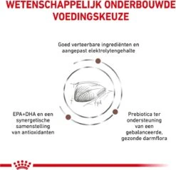 Royal Canin Gastro Intestinal - Kattenvoer - 4 Kg -Winkel Voor Kattenbenodigdheden 1200x1162 3