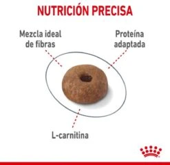 Royal Canin Light Weight Care - 1.5 Kg -Winkel Voor Kattenbenodigdheden 1200x1162 9