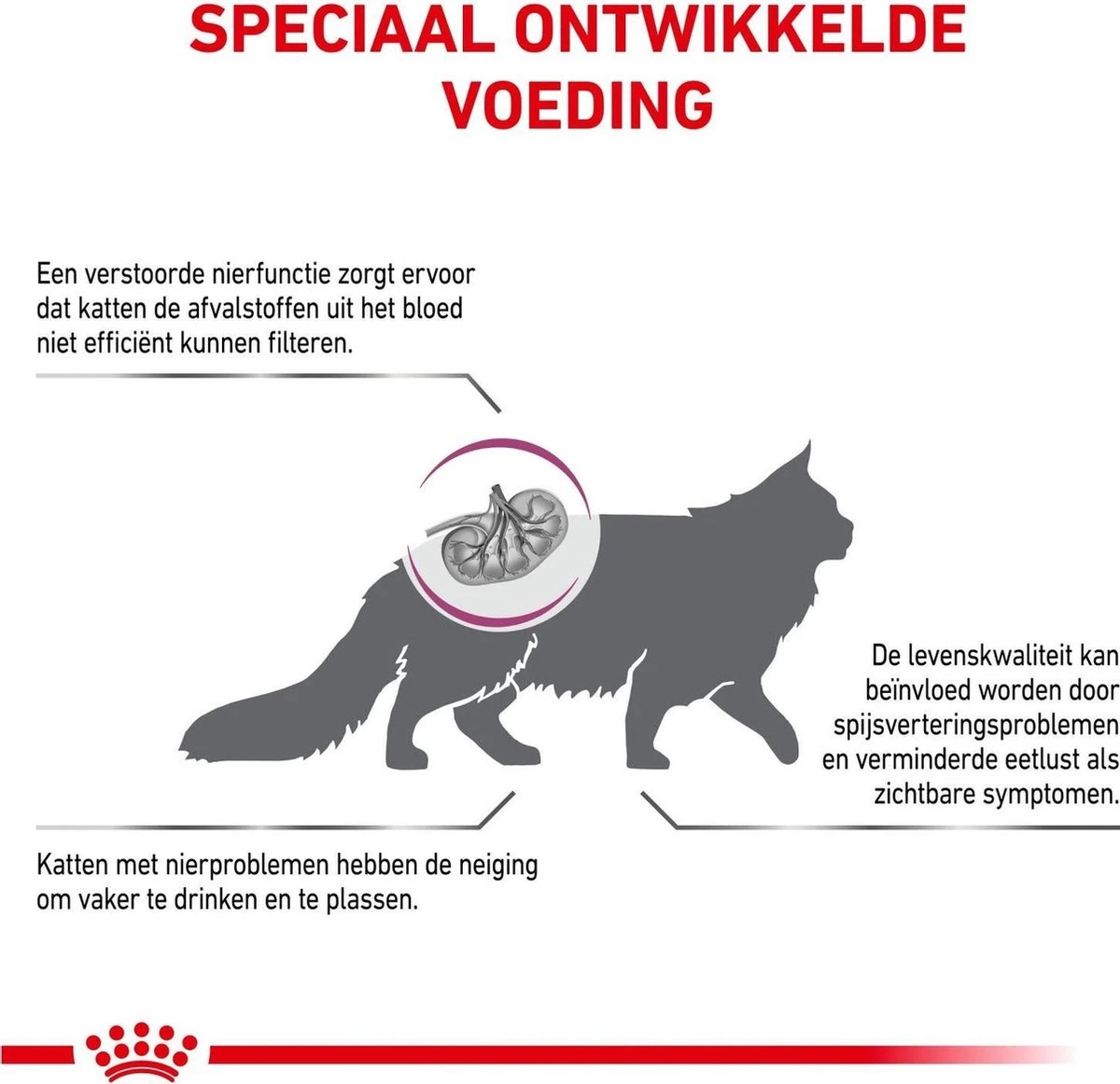 Royal Canin Renal - Kattenvoer - 4 Kg 6 Royal Canin Renal - Kattenvoer - 4 Kg - Afbeelding 4