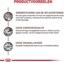 Royal Canin Gastro Intestinal - Kattenvoer - 4 Kg -Winkel Voor Kattenbenodigdheden 1200x1163 3