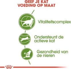 Royal Canin Outdoor 7+ - 4 Kg -Winkel Voor Kattenbenodigdheden 1200x1164 2