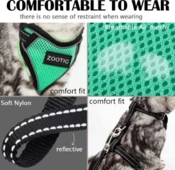 Kattentuigje Met Leiband Riem Kattenharnas Groen Maat L Kat & Kitten - Dieren Kattenriem - Cat Leash - Halsomvang 24 Tot 33cm - Borstomvang 36 Tot 41cm - Zootic® 17 Kattentuigje Met Leiband Riem Kattenharnas Groen Maat L Kat & Kitten - Dieren Kattenriem - Cat Leash - Halsomvang 24 Tot 33cm - Borstomvang 36 Tot 41cm - Zootic® -Winkel Voor Kattenbenodigdheden 1200x1164 6