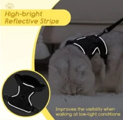 Nobleza Kattenharnas M Reflecterend Zwart Met Riem -Winkel Voor Kattenbenodigdheden 1200x1166 5