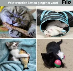 Filo Kattenspeelgoed Set 30 Stuks - Kattenspeeltje Kattentunnel - Kattenhengel - Kattenveertjes - Vis Met Kattenkruid - Kattenspeeltjes Intelligentie Kitten - Interactief Speelgoed Katten - Poezen Speeltjes -Winkel Voor Kattenbenodigdheden 1200x1170 9