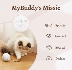 MyBuddy - Interactieve Zelf Rollende Bal - Kattenspeeltjes - Kattenspeelgoed - Bal Voor Katten - LED Lights - Speelgoed - USB - Roze -Winkel Voor Kattenbenodigdheden 1200x1171 10