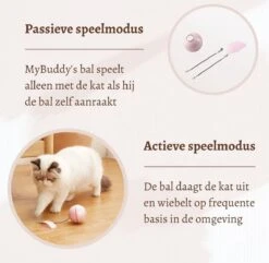 MyBuddy - Interactieve Zelf Rollende Bal - Kattenspeeltjes - Kattenspeelgoed - Bal Voor Katten - LED Lights - Speelgoed - USB - Roze -Winkel Voor Kattenbenodigdheden 1200x1171 11