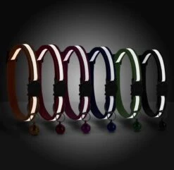 Merkloos Kattenhalsband Met Belletje - Reflecterend - Verstelbaar - 19 / 32 Cm - Halsband Kat - Kattenbandje - Cat - Kitten - Katten Halsband - Zwart -Winkel Voor Kattenbenodigdheden 1200x1171