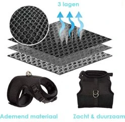 Kattentuigje Met Leiband Riem Kattenharnas Donker Blauw Maat L Kat & Kitten - Dieren Kattenriem - Cat Leash - Halsomvang 24 Tot 33cm - Borstomvang 36 Tot 41cm - Zootic® -Winkel Voor Kattenbenodigdheden 1200x1171 4