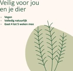 Catuals Kattenbakvulling Geurverdrijver - Neutraliseert Urinegeur Van Katten - Cotton Fresh - 500g -Winkel Voor Kattenbenodigdheden 1200x1172 5