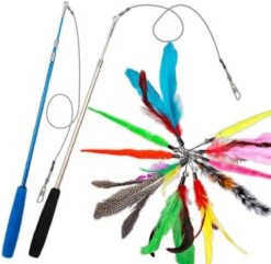 Merkloos 2 Kattenhengels Met 10 Speeltjes – Bewegende Kattenspeeltjes Met Veren En Belletjes – Interactieve Kattenspeelgoed Voor Kittens – Cat Toys 15 Merkloos 2 Kattenhengels Met 10 Speeltjes – Bewegende Kattenspeeltjes Met Veren En Belletjes – Interactieve Kattenspeelgoed Voor Kittens – Cat Toys -Winkel Voor Kattenbenodigdheden 1200x1172 8