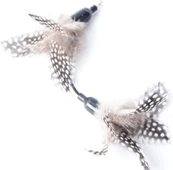 FUZLY - Kattenspeelgoed - Hengel Met Veer - Hengel Met 5 Opzetstukjes - Kattenspeeltjes - Bewegend Kattenspeelgoed- Kattenspeeltjes Intelligentie - Kattenhengel - Kattenspeeltje Interactief -Winkel Voor Kattenbenodigdheden 1200x1177 12