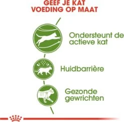 Royal Canin Outdoor - Kattenvoer - 4 Kg -Winkel Voor Kattenbenodigdheden 1200x1177 5