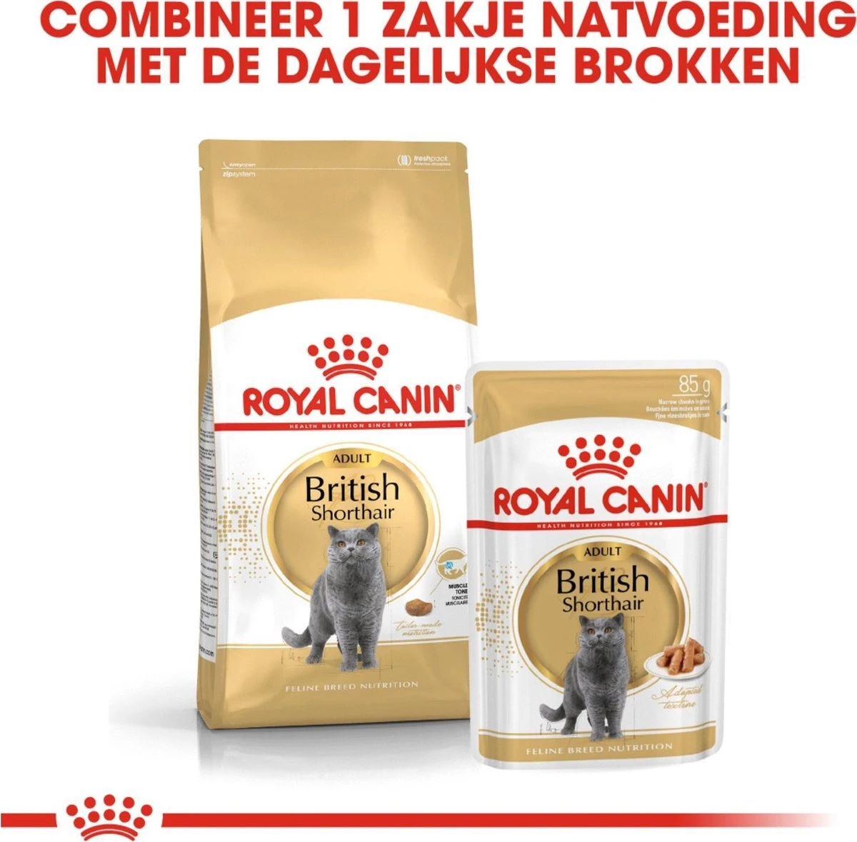 Royal Canin Fbn British Shorthair Adult Pouch - Kattenvoer - 12x85 G 7 Royal Canin Fbn British Shorthair Adult Pouch - Kattenvoer - 12x85 G - Afbeelding 5
