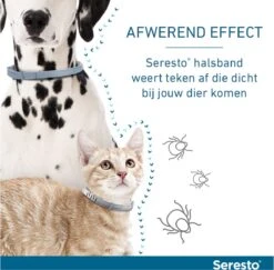 Seresto Teken- En Vlooienband - Anti Tekenmiddel - Kat - 38 Cm 25 Seresto Teken- En Vlooienband - Anti Tekenmiddel - Kat - 38 Cm -Winkel Voor Kattenbenodigdheden 1200x1179