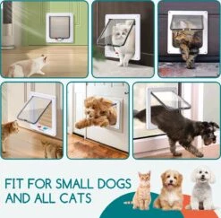 Nobleza Kattenluik Met Tunnel - 4 Vergrendelingsstanden - Weerbestendig - Binnen En Buiten - 20.5 X 19.7 Cm - Maat M - Wit 14 Nobleza Kattenluik Met Tunnel - 4 Vergrendelingsstanden - Weerbestendig - Binnen En Buiten - 20.5 X 19.7 Cm - Maat M - Wit -Winkel Voor Kattenbenodigdheden 1200x1179 4