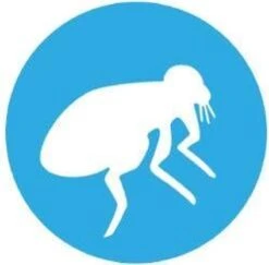 Bayer Bolfo Gold 40 Anti Vlooienmiddel - Kat - 0 Tot 4 Kg - 4 Pipetten 21 Bayer Bolfo Gold 40 Anti Vlooienmiddel - Kat - 0 Tot 4 Kg - 4 Pipetten -Winkel Voor Kattenbenodigdheden 1200x1180 5