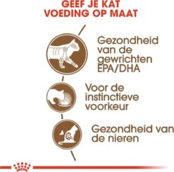Royal Canin Wet Ageing 12+ (12X85 GR) -Winkel Voor Kattenbenodigdheden 1200x1182 1