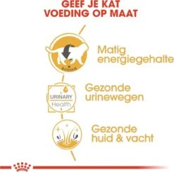 Royal Canin Fbn British Shorthair Adult Pouch - Kattenvoer - 12x85 G 14 Royal Canin Fbn British Shorthair Adult Pouch - Kattenvoer - 12x85 G -Winkel Voor Kattenbenodigdheden 1200x1182 2