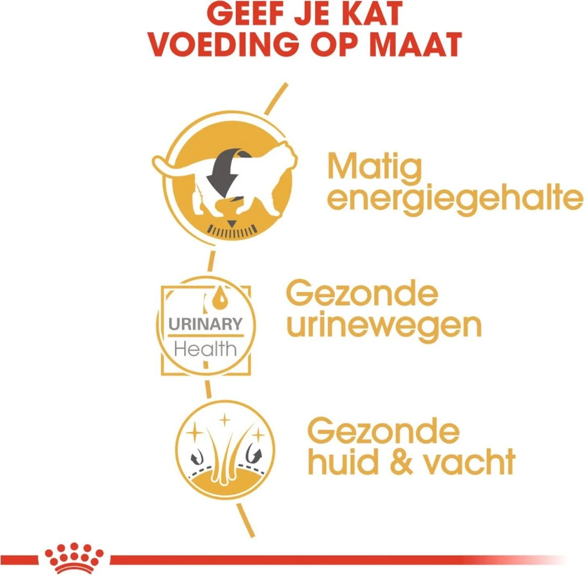 Royal Canin Fbn British Shorthair Adult Pouch - Kattenvoer - 12x85 G 6 Royal Canin Fbn British Shorthair Adult Pouch - Kattenvoer - 12x85 G - Afbeelding 4