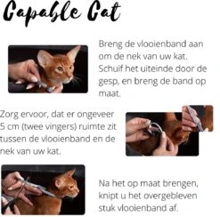Capable Cat Vlooienband Kat | Vlooien | Luizen | Teken | Mijten | 8 Maanden Bescherming | Katten 14 Capable Cat Vlooienband Kat | Vlooien | Luizen | Teken | Mijten | 8 Maanden Bescherming | Katten -Winkel Voor Kattenbenodigdheden 1200x1186
