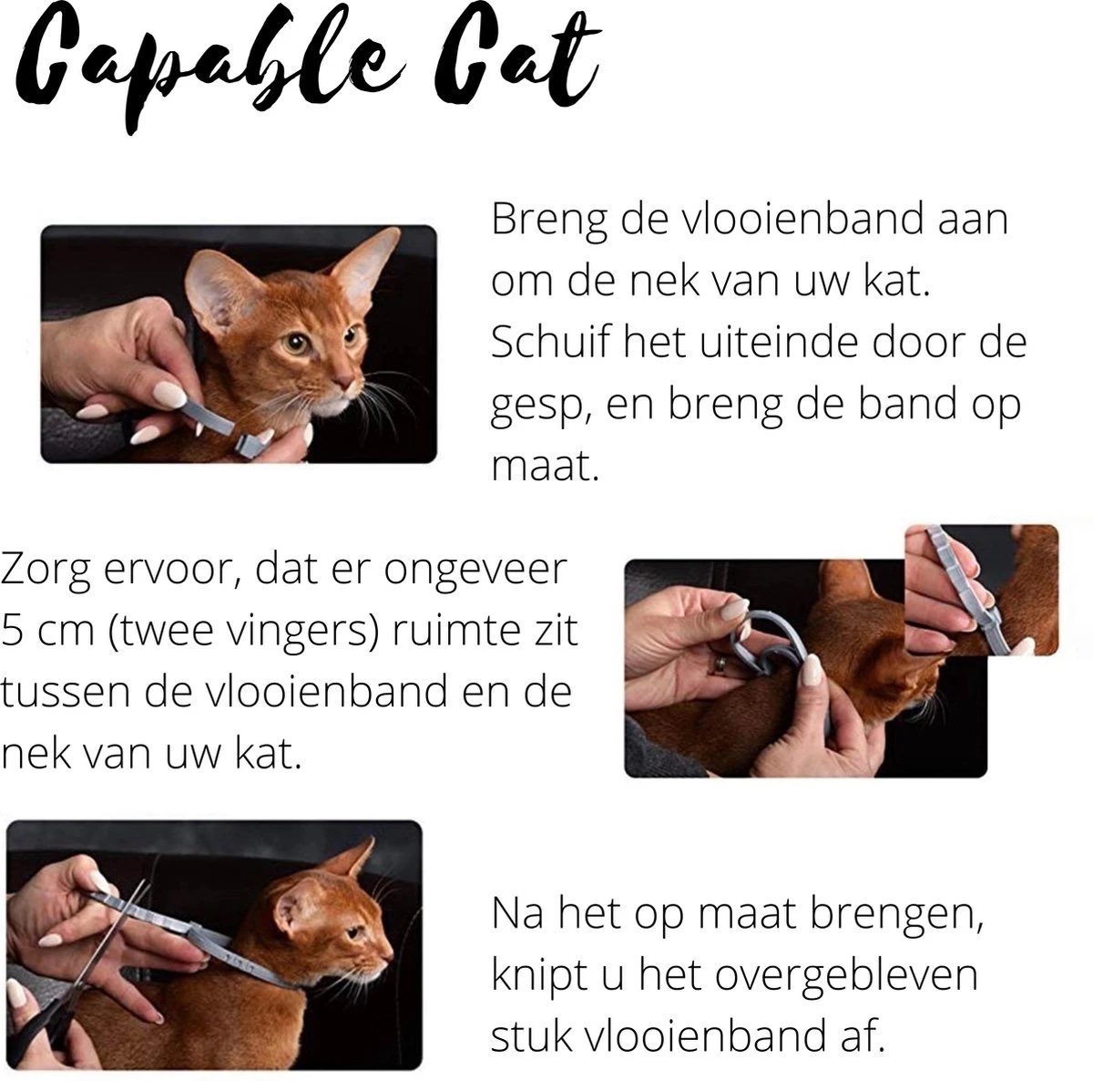 Capable Cat Vlooienband Kat | Vlooien | Luizen | Teken | Mijten | 8 Maanden Bescherming | Katten 8 Capable Cat Vlooienband Kat | Vlooien | Luizen | Teken | Mijten | 8 Maanden Bescherming | Katten - Afbeelding 6