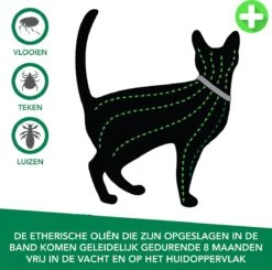Teken- En Vlooienband Voor Katten PLUS - Natuurlijk Middel Tegen Vlooien En Teken - 100% Natuurlijk - 38,5 CM - Tot 8 Maand Werkzaam - Biologisch 10 Teken- En Vlooienband Voor Katten PLUS - Natuurlijk Middel Tegen Vlooien En Teken - 100% Natuurlijk - 38,5 CM - Tot 8 Maand Werkzaam - Biologisch -Winkel Voor Kattenbenodigdheden 1200x1188