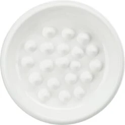 Trixie Slow Feed Voerbak Keramiek Wit 11 Trixie Slow Feed Voerbak Keramiek Wit -Winkel Voor Kattenbenodigdheden 1200x1193 2