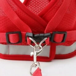 Merkloos Verstelbaar Kattentuigje Reflecterend - Kattenharnas - Kattentuig Met Looplijn - Rood - Maat S 8 Merkloos Verstelbaar Kattentuigje Reflecterend - Kattenharnas - Kattentuig Met Looplijn - Rood - Maat S -Winkel Voor Kattenbenodigdheden 1200x1194 6