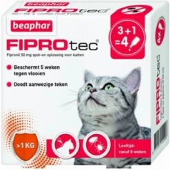 Beaphar Fiprotec Kat - Vlooienbestrijding - >1 Kg - 4 Pipetten 13 Beaphar Fiprotec Kat - Vlooienbestrijding - >1 Kg - 4 Pipetten -Winkel Voor Kattenbenodigdheden 1200x1198 1