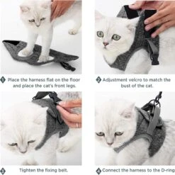 Kattentuig Met Riem, Set, Ontsnappingsbestendig Kattenharnas, Verstelbaar En Zacht, -Winkel Voor Kattenbenodigdheden 1200x1198 10