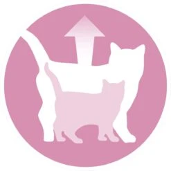 Purina ONE Junior - Kip/Granen - Kattenvoer - 800 G -Winkel Voor Kattenbenodigdheden 1200x1198 3