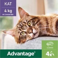 Bayer Anti Vlooienmiddel Advantage 80 > 4 Kg - 4 X 0,8 Ml -Winkel Voor Kattenbenodigdheden 1200x1199