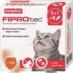 Beaphar Fiprotec Kat - Vlooienbestrijding - >1 Kg - 4 Pipetten 16 Beaphar Fiprotec Kat - Vlooienbestrijding - >1 Kg - 4 Pipetten -Winkel Voor Kattenbenodigdheden 1200x1200 10