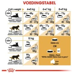 Royal Canin Maine Coon Adult - Kattenvoer - 10 Kg 21 Royal Canin Maine Coon Adult - Kattenvoer - 10 Kg -Winkel Voor Kattenbenodigdheden 1200x1200 100