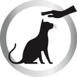 Biokat's Diamond Care Sensitive Classic - 6 L - Kattenbakvulling - Klontvormende - Zonder Geur - Aktieve Kool - Voor Gevoelige Katten 17 Biokat's Diamond Care Sensitive Classic - 6 L - Kattenbakvulling - Klontvormende - Zonder Geur - Aktieve Kool - Voor Gevoelige Katten -Winkel Voor Kattenbenodigdheden 1200x1200 1011