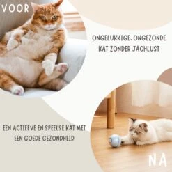 MyBuddy - Interactieve Zelf Rollende Bal - Kattenspeeltjes - Kattenspeelgoed - Bal Voor Katten - LED Lights - Speelgoed - USB - Roze -Winkel Voor Kattenbenodigdheden 1200x1200 1033