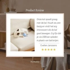 MyBuddy - Interactieve Zelf Rollende Bal - Kattenspeeltjes - Kattenspeelgoed - Bal Voor Katten - LED Lights - Speelgoed - USB - Roze -Winkel Voor Kattenbenodigdheden 1200x1200 1035