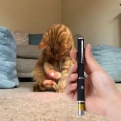 Katten Laser - Dierenwinkel Nederland -Winkel Voor Kattenbenodigdheden 1200x1200 1037