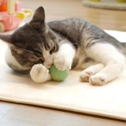 Cheerble | Mini Bal 3.0 | Roze | Zelf Rollende Bal Voor Katten | 3 Automatische Speelmodi | Interactief En Intelligentie Kattenspeelgoed | Kattenspeeltje 25 Cheerble | Mini Bal 3.0 | Roze | Zelf Rollende Bal Voor Katten | 3 Automatische Speelmodi | Interactief En Intelligentie Kattenspeelgoed | Kattenspeeltje -Winkel Voor Kattenbenodigdheden 1200x1200 1044