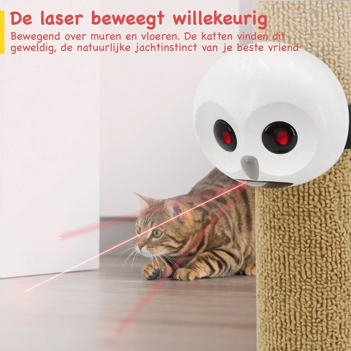 Kattenspeeltjes - Kattenspeelgoed Intelligentie - Laser - Kattenspeelgoed Elektrisch - Kattenspeelgoed Interactief 5 Kattenspeeltjes - Kattenspeelgoed Intelligentie - Laser - Kattenspeelgoed Elektrisch - Kattenspeelgoed Interactief - Afbeelding 3